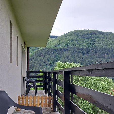 ブランCasa De Vacantaアパートメント エクステリア 写真