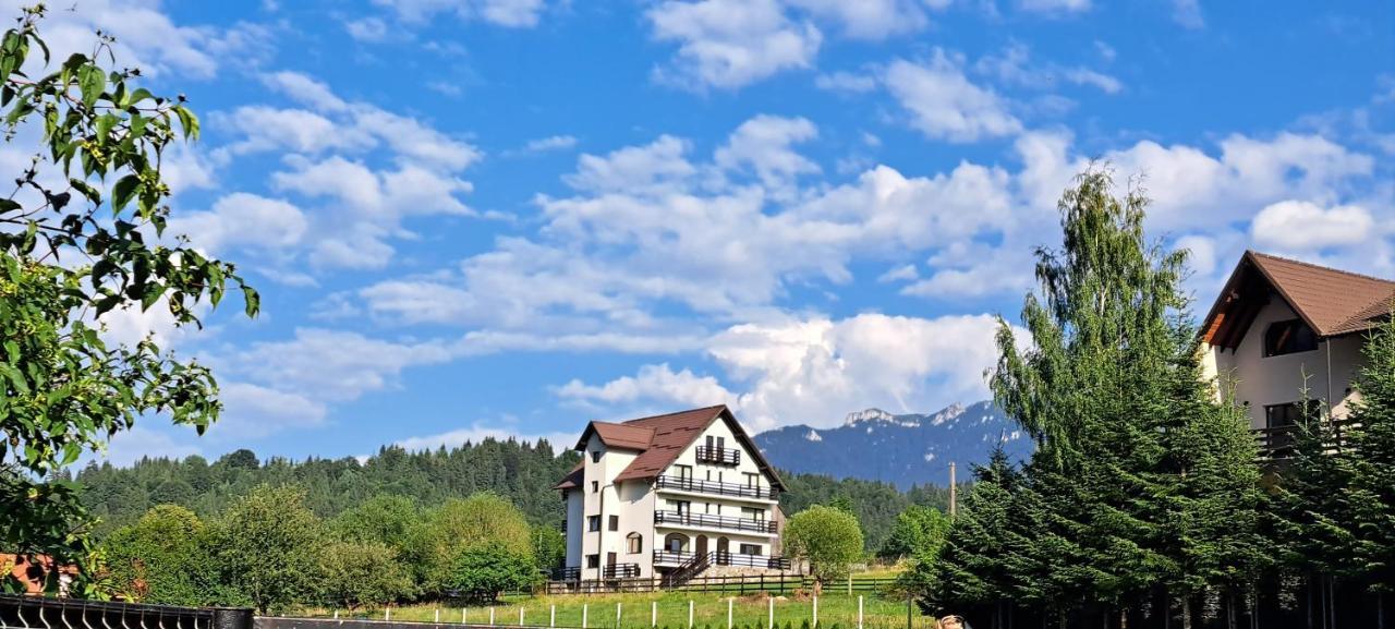 ブランCasa De Vacantaアパートメント エクステリア 写真